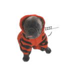 Mavic Dog（個別スタンプ：3）