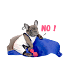Mavic Dog（個別スタンプ：8）
