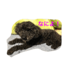 バッハ＆かん2（個別スタンプ：14）