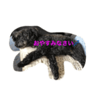 バッハ＆かん2（個別スタンプ：15）
