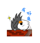 Guinea Pumbita（個別スタンプ：9）