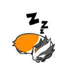 Guinea Pumbita（個別スタンプ：11）