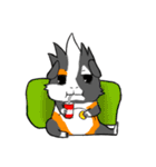 Guinea Pumbita（個別スタンプ：22）