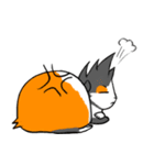 Guinea Pumbita（個別スタンプ：24）