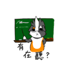 Guinea Pumbita（個別スタンプ：29）