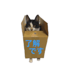 我が家のぽんずくん2（個別スタンプ：5）