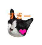 我が家のぽんずくん2（個別スタンプ：10）