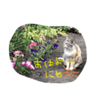 りりたす（個別スタンプ：3）