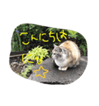 りりたす（個別スタンプ：12）