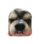 ぶんきち（個別スタンプ：1）