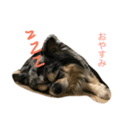 ぶんきち（個別スタンプ：2）