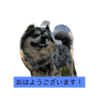 ぶんきち（個別スタンプ：8）