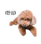 Stubby legs HODU -2（個別スタンプ：3）