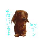 マロン＆ゴン（個別スタンプ：8）