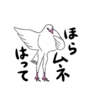 白鳩ぽうた（個別スタンプ：14）