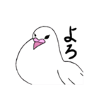 白鳩ぽうた（個別スタンプ：34）