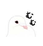 白鳩ぽうた（個別スタンプ：38）