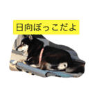 さっちゃんと遊ぼう（個別スタンプ：2）