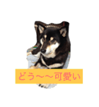 さっちゃんと遊ぼう（個別スタンプ：3）