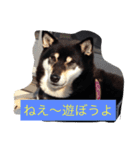 さっちゃんと遊ぼう（個別スタンプ：4）