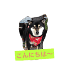 さっちゃんと遊ぼう（個別スタンプ：6）