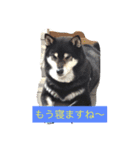 さっちゃんと遊ぼう（個別スタンプ：10）
