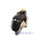 さっちゃんと遊ぼう（個別スタンプ：11）