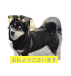 さっちゃんと遊ぼう（個別スタンプ：14）