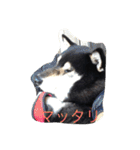 さっちゃんと遊ぼう（個別スタンプ：15）