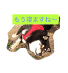 さっちゃんと遊ぼう（個別スタンプ：16）