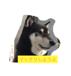 さっちゃんと遊ぼう（個別スタンプ：19）