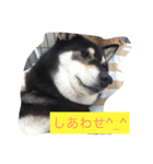 さっちゃんと遊ぼう（個別スタンプ：23）