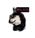 さっちゃんと遊ぼう（個別スタンプ：26）
