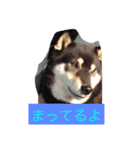 さっちゃんと遊ぼう（個別スタンプ：31）
