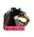 さっちゃんと遊ぼう（個別スタンプ：32）