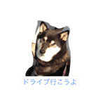さっちゃんと遊ぼう（個別スタンプ：35）
