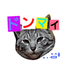 安藤さんち。4（個別スタンプ：14）