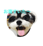 山下家のペット達（個別スタンプ：3）