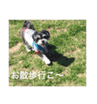 山下家のペット達（個別スタンプ：4）