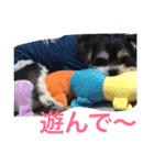 山下家のペット達（個別スタンプ：5）