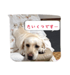 十字架の気分♪4（個別スタンプ：4）
