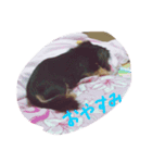 らっきースタンプ（個別スタンプ：1）