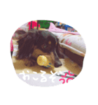 らっきースタンプ（個別スタンプ：6）