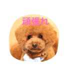 ビビのこ（個別スタンプ：1）