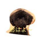 ビビのこ（個別スタンプ：3）
