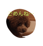 ビビのこ（個別スタンプ：7）