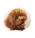ビビのこ（個別スタンプ：8）
