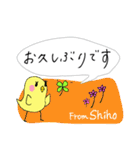 【Shiho】四つ葉のクローバー＆ピヨ（個別スタンプ：5）