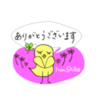 【Shiho】四つ葉のクローバー＆ピヨ（個別スタンプ：6）