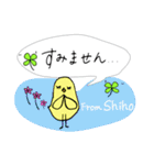 【Shiho】四つ葉のクローバー＆ピヨ（個別スタンプ：7）